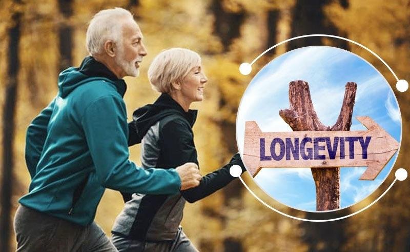 LONGEVİTY EĞİTİMİ
